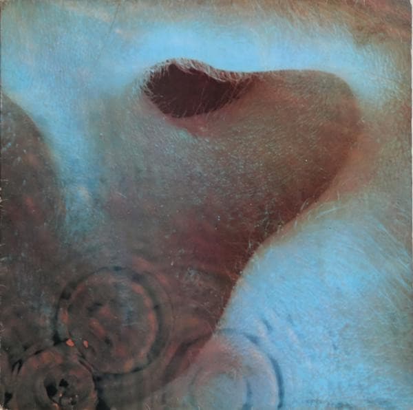 Meddle