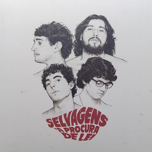 Selvagens À Procura De Lei